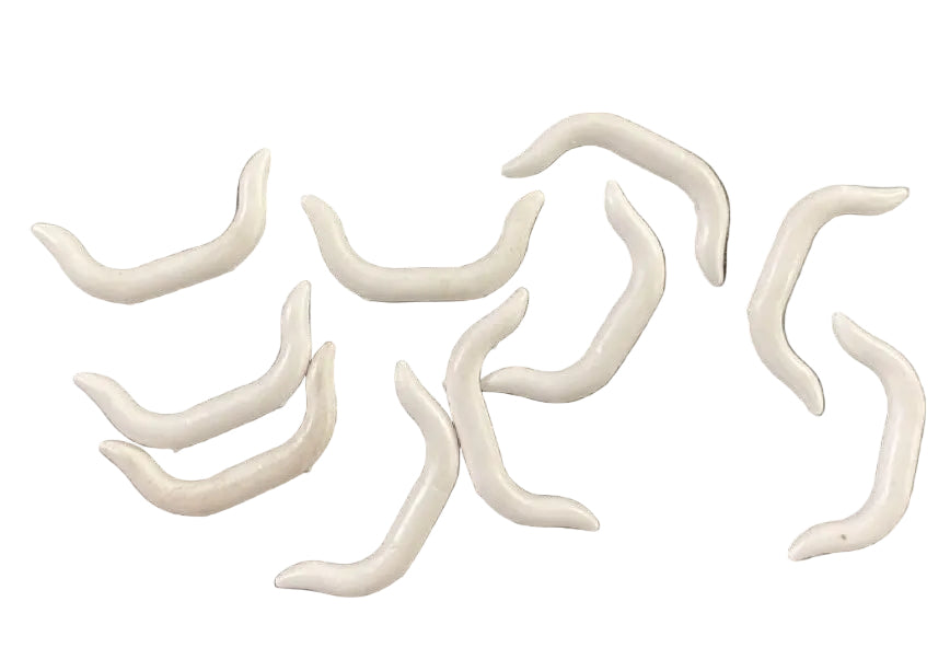LEGO White Cattle Horns / Headdress Pack of 10 White - Western / Pirates / Castle
