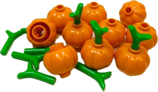 Pumpkin and Stem x 10