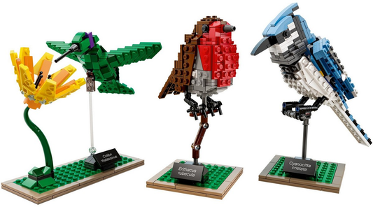LEGO Ideas Birds Set #21301
