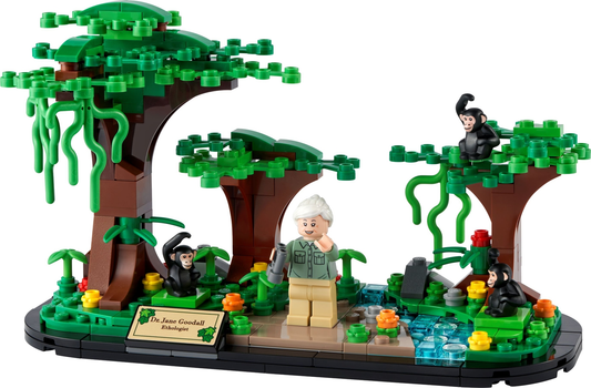 LEGO Jane Goodall Tribute Set #40530 with Minifigure and Instructions