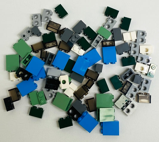 LEGO Brick Fun Pack Mixed Types 1x2 and 1x2x2