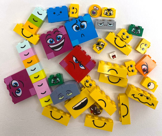 LEGO Printed Pieces Fun Pack Mixed Bricks and More