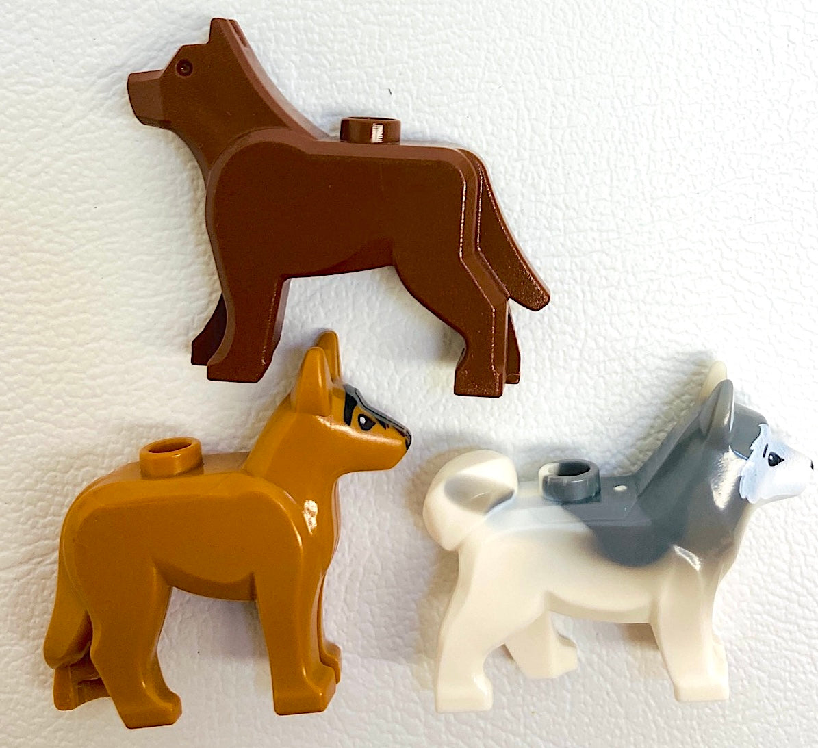 LEGO Animals Dogs Pack of 3 Mixed Types