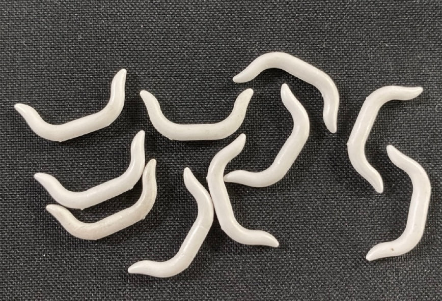 LEGO White Cattle Horns / Headdress Pack of 10 White - Western / Pirates / Castle