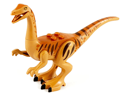 galli01